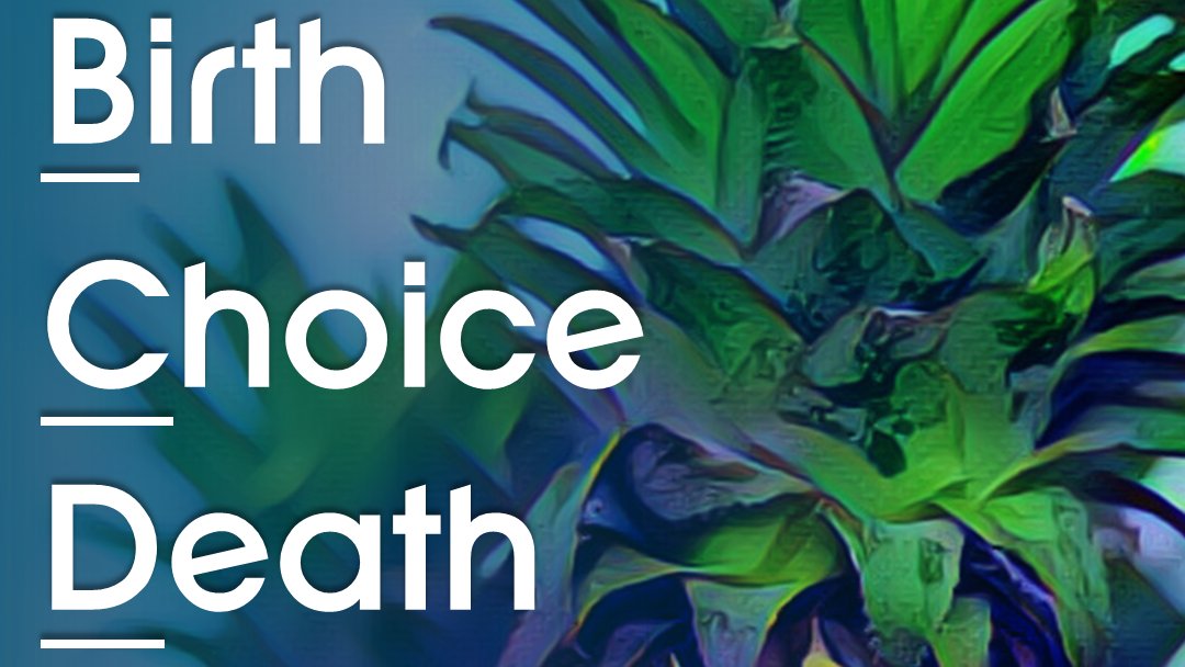 DisruptTutoring's tweet photo. B-C-D. It is the accumulation of the choices we make between our birth and death that defines our journey. 💡

Inspired by @jimkwik 🧠
.
.
#birth #choice #death #choiceisyours #choicesgame #choicesstoriesyouplay #journeyoflife #journey #defineyourself #defineyourjourney https://t.co/REep6Fjh0l