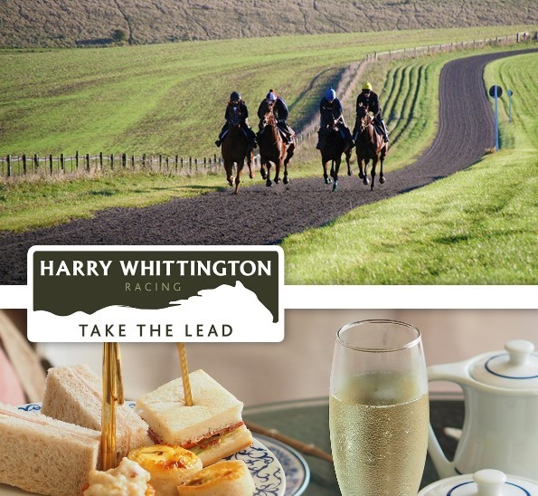 A VIP exclusive day on the gallops for 4 people could be yours including a champagne breakfast at the race yard at Hill Barn Stables.  Check out Lot 14 in the Moore Barlow Silicon Cup Regatta Online Auction - LIVE NOW! <a href="/TheSiliconCup/">The Russell-Cooke Silicon Cup</a> #charityauction
jumblebee.co.uk/siliconcuprega…