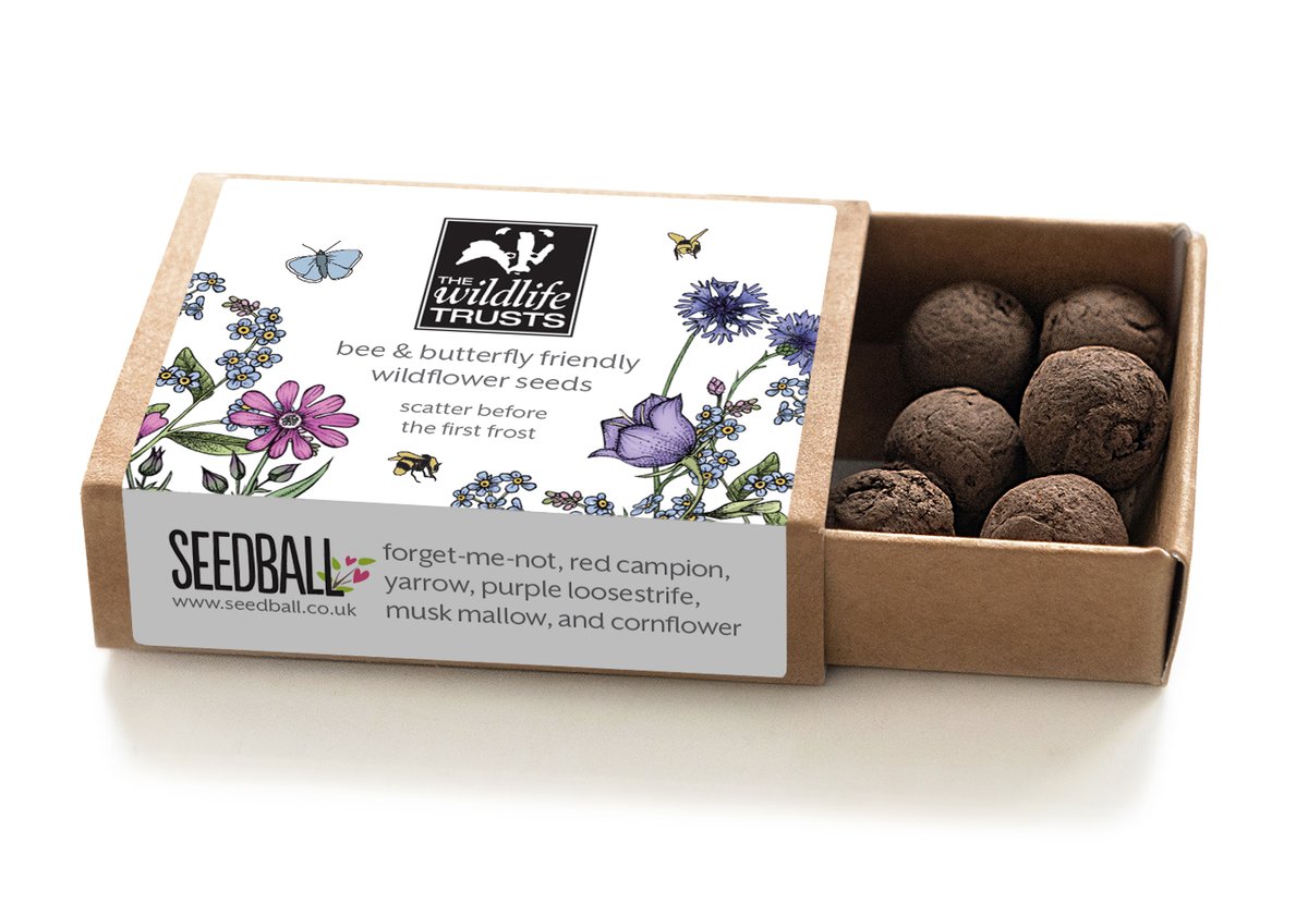 Competition time! We've teamed up with <a href="/seed_ball/">🌱SEEDBALL 🐝</a> to get everyone growing more wildflowers to help birds, bees and butterflies. 🦋🌱🌸
Comment below with your best wildlife moment this year during lockdown and you'll be in with a chance of getting this gorgeous Seedball pack!