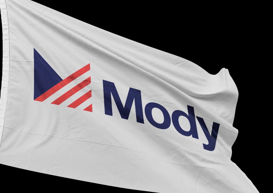 Works, Identity &amp; Campaign for Roshan Mody for Congress, Florida 2020. USA.