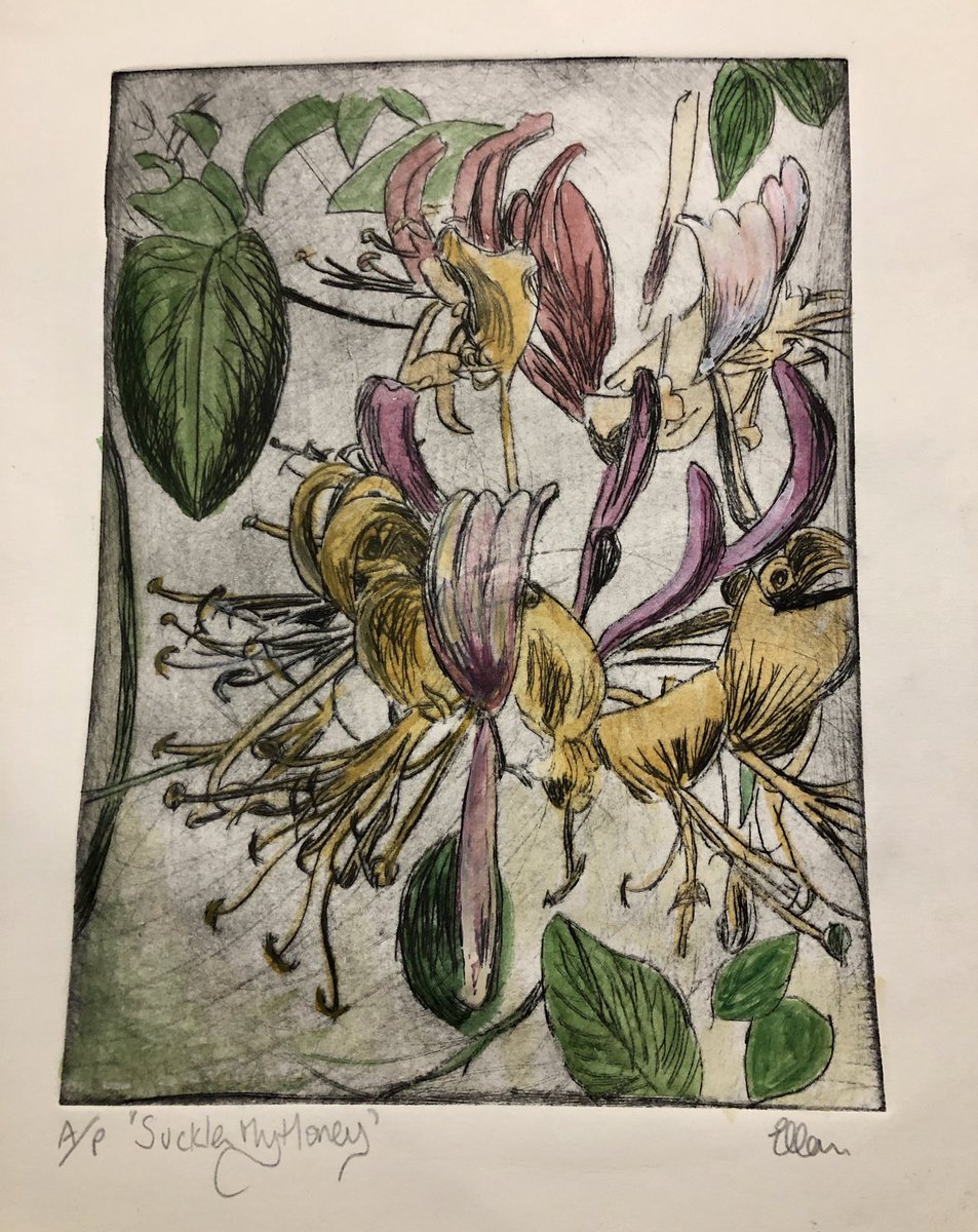 Working on some etchings if local wild flowers, always loved honeysuckle..,,