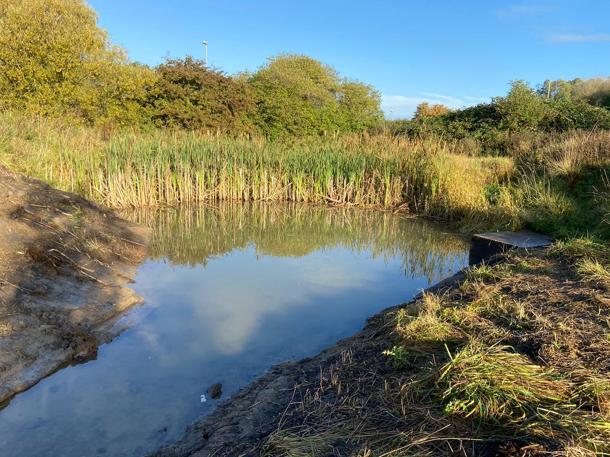 Work on the pond has started and with some rain dancing filling up nicely