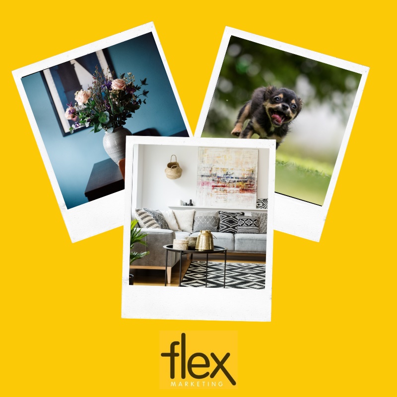 flex_ltd's tweet image. #marketingtip Run a competition. Ask your customers for photos of your product being used.  People love user generated content and it is a great way of getting content that you can re-use elsewhere. 📷    #product #productmarketing #marketing flex-marketing.co.uk
