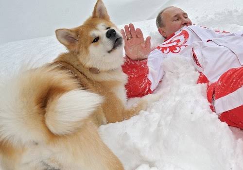 駐日ロシア連邦大使館 今日はウラジーミル プーチン大統領の6 8 回目の誕生日です 他国の首脳からロシア大統領へのプレゼントに 動物が贈られることはよくあります 12年 日本の首相からプーチン 大統領に ゆめ という名前の秋田犬