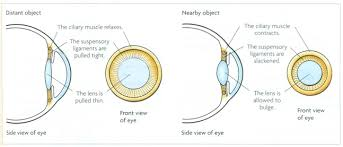 mcphoo's tweet photo. doing a wee seminar at Cardiff today 2c: if we know r inbodied workings just a bit, mite we wonder if everything we've designed for work is wrong. Consider the eye and the screen: it is relaxed at a distance; *always tense* in close up focus. Myopia rising. #inbodiedinteraction https://t.co/JMYfnbDL9U