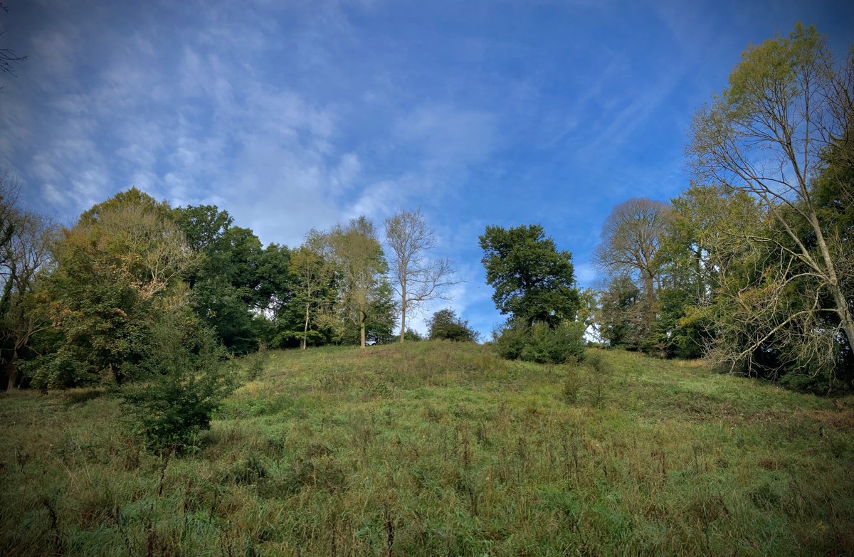First visit to the Shared School Woodland site since lockdown and what a beautiful morning. It was looking gorgeous. Can’t wait to get planting with all the children from all the schools involved. Roll on March 2021 <a href="/WoodlandTrust/">WoodlandTrust</a>