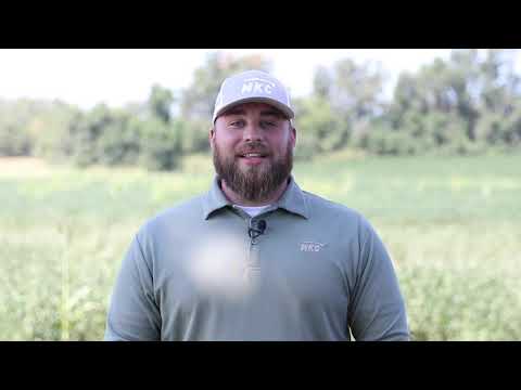midkscoop's tweet photo. Have you ever wondered what the decision ag consultant internship is like? Check out the latest #mkcintern video to learn more from past intern, Cole Reed --> https://t.co/OuWTb9Ewav
#IntershipsInAg https://t.co/IEIFGwM43W