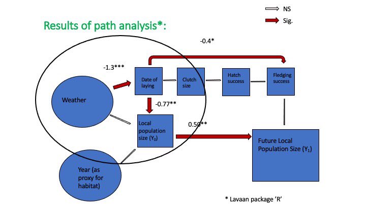 21/23 Analysis suggested weather and consistently cold springs impact future  N through effects on timing of laying, which then affected fledging success. FS has little effect on future N. If late spring, birds give up on laying. Pop’n maintained by immigration #ISTC20 #SESH3