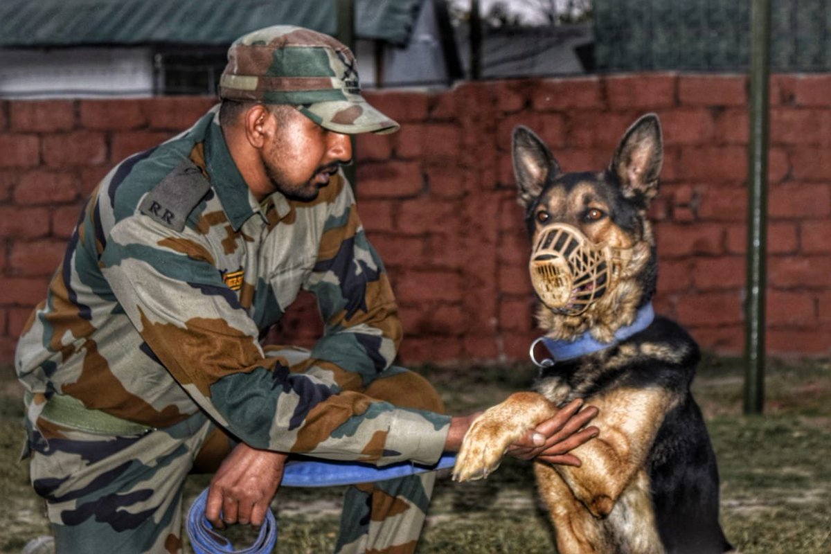 Defence_Squad_'s tweet image. Friends ❤️
.
#indianarmy #armydogs #Jaihind