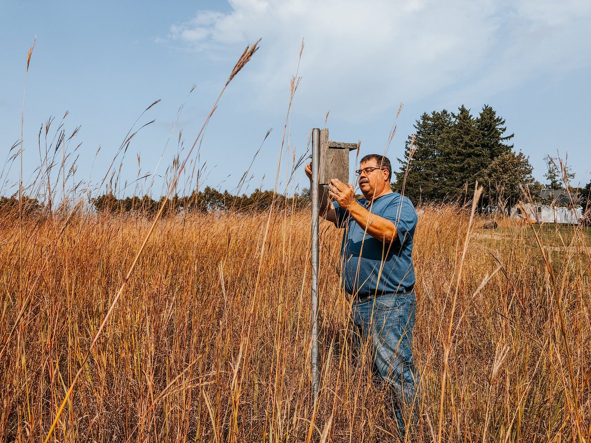 Management is such an important part of keeping restoration projects thriving. We appreciate our landowners who are dedicated to keeping their projects in good health and value the services they provide for the community 🌾🌲💧 #ALUS #alusnorfolk #management #restoration #nature