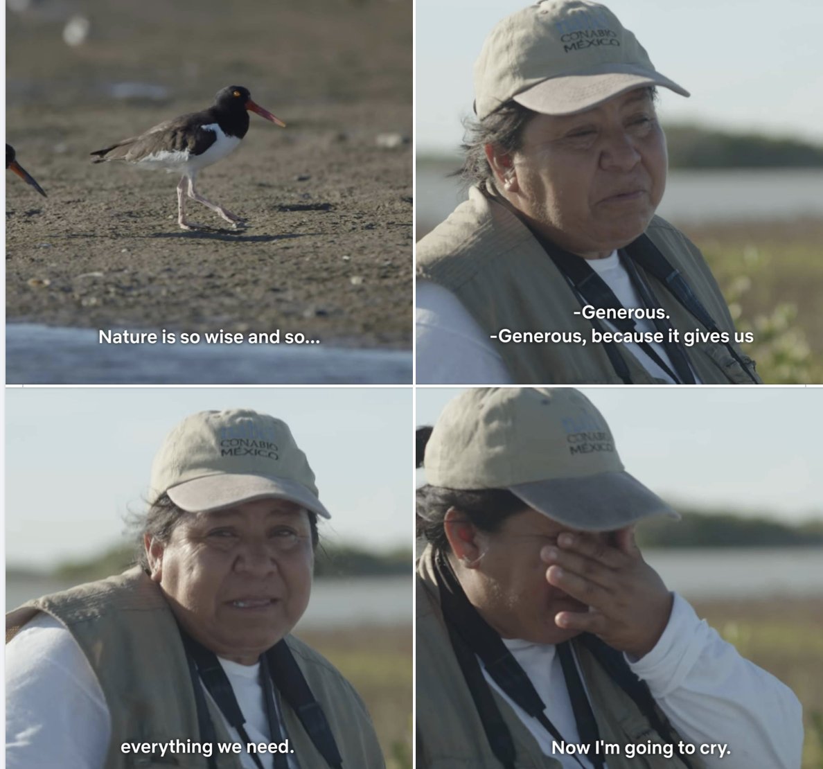 WholesomeMeme's tweet photo. https://t.co/6t8OHMjYSZ