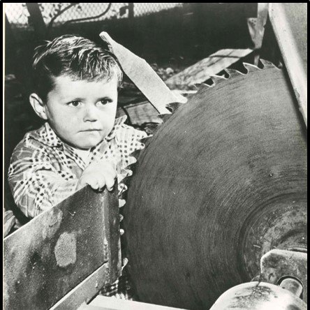 ArchivistTy tweet picture