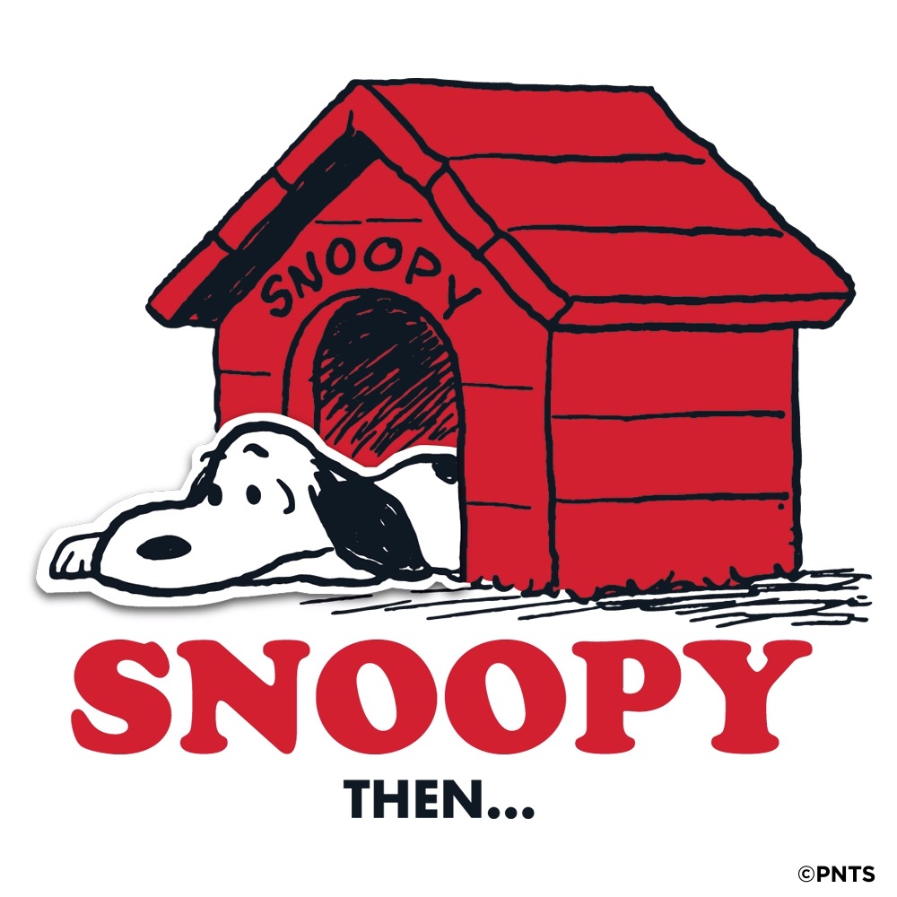 PEANUTS on X: "70 years of home sweet home #Peanuts70 #Snoopy70  https://t.co/Pm4l8hMUHo" / X