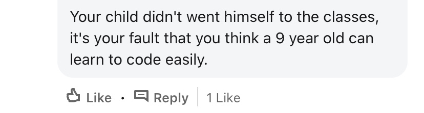 A lot of comments blamed the parent itself. And this blaming comes in lots of flavours.- How could you fall for ads that said your child will become Zuckerberg? - How dare you think that your child can learn something difficult like coding?- How could you put such pressure?