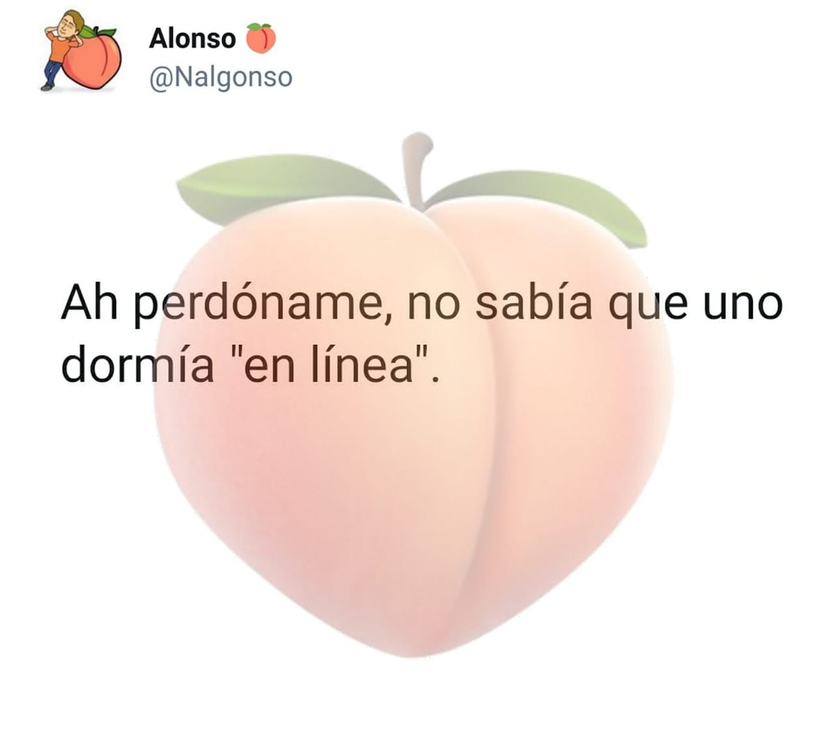 Alonso 🍑 tweet media