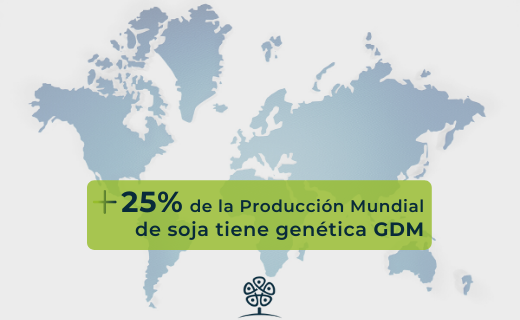 GDMSeeds's tweet photo. ¡Así es! El número es correcto. Una cuarta parte de la producción mundial del cultivo de soja tiene genética GDM. La calidad de nuestros productos y presencia global acompañan este resultado. https://t.co/jB77jh7lk9