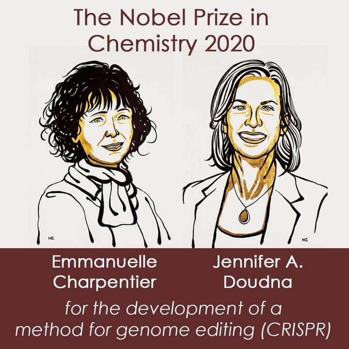 Kevin Alicea-Torres tweet media