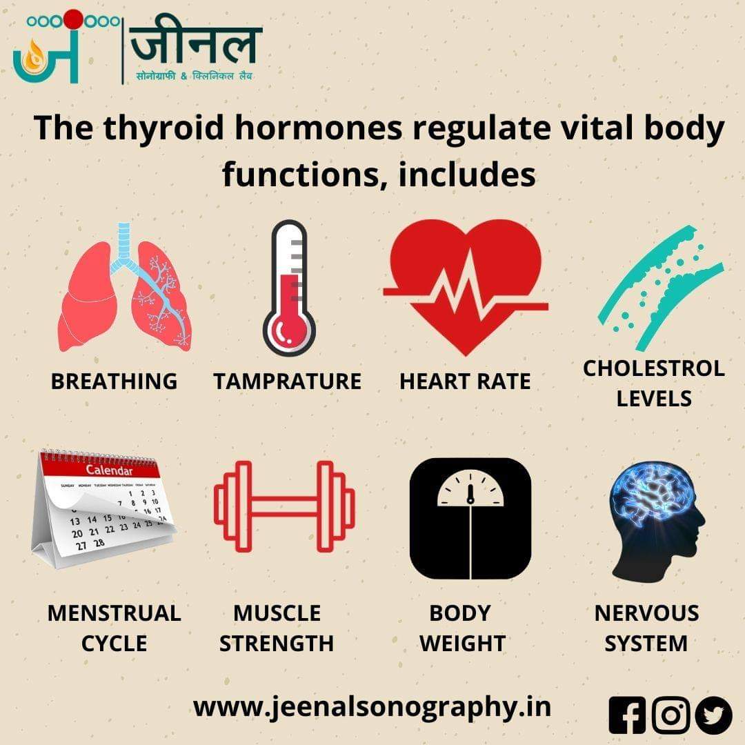 JSonography's tweet image. Information about your thyroid and you. Explore about thyroid and thyroid disease...
Diagnostic Lab in Udaipur - Book appointment from best diagnostics labs for ✓X-Ray ✓CT scan ✓Endoscopy ✓MRI scan ✓Thyroid test ✓Ultrasound.
..
#rajasthan #Udaipur #alwar #jhunjhunu #sikar