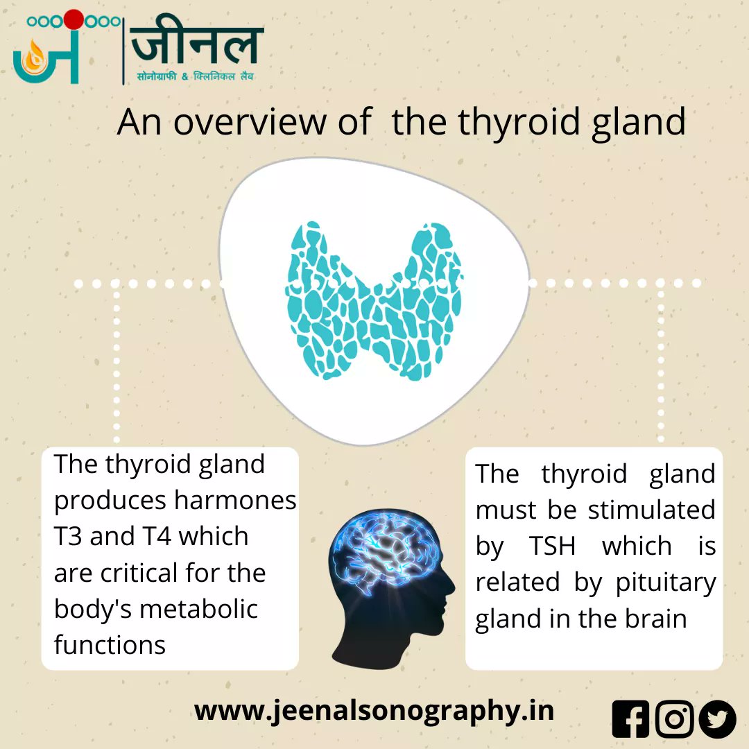 JSonography's tweet image. Information about your thyroid and you. Explore about thyroid and thyroid disease...
Diagnostic Lab in Udaipur - Book appointment from best diagnostics labs for ✓X-Ray ✓CT scan ✓Endoscopy ✓MRI scan ✓Thyroid test ✓Ultrasound.
..
#rajasthan #Udaipur #alwar #jhunjhunu #sikar