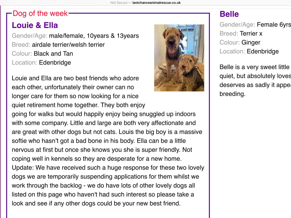 Oh no. These guys need sprung....

lastchanceanimalrescue.co.uk/kennel/dog.php