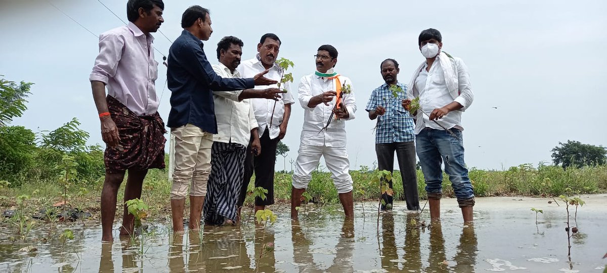 While the Modiâs Govt intrdcng anti-farmer bills, nature has also hit the poor frmrs.Visitd svrl vlgs of my constituency #Alampur to check on the sevrty of crop loss.I dmnd both the Govts to come in rescue of farmers imdtly @kcvenugopalmp @manickamtagore @UttamTPCC @INCTelangana https://t.co/bJktNf0uIP