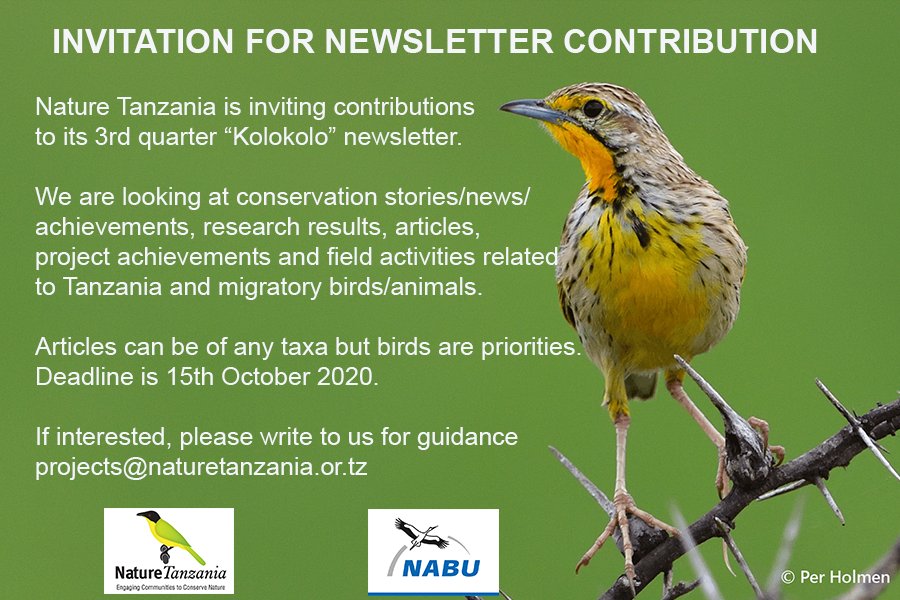 Dear members and friends, Nature Tanzania is inviting contributions for our 3rd quarter 'Kolokolo' newsletter. Please read the poster for details. Thank you so much. @BirdLifeAfrica @Africabirdclub