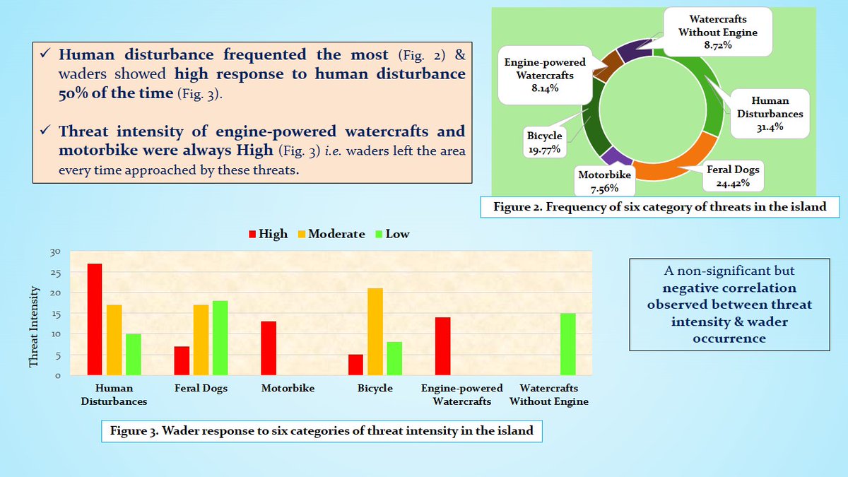 irinsultanamit1's tweet photo. 4 #ISTC20 #Sesh1

This study tried to figure out the occuring threats on the island during winter with their frequency and response to the #waders.

#waders avoided the areas where threat responses were High or Moderate.

#ornithology #WaderStudy #IBIS_journal https://t.co/n7eWSpof0M
