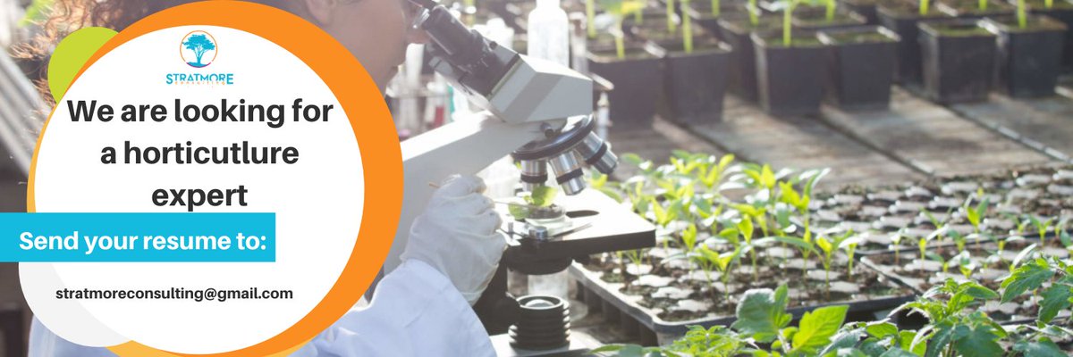 StratmoreCon's tweet photo. Looking for a consultant with experience in Green jobs/ Agriculture &amp; Horticulture/ Cotton for a short term training engagement. Must be Zambia based

Preferably a woman (men are encouraged to participate)
Inbox @StratmoreCon https://t.co/1d11LRHSTB
