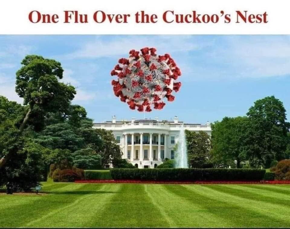 Matt Sullivan tweet media