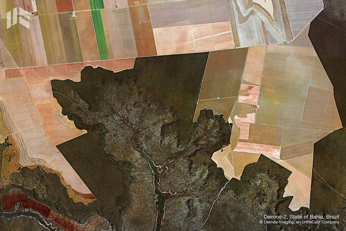 deimosimaging's tweet image. Forest loss has devastating impacts on wildlife, communities &amp;amp; indigenous peoples. Learn how to track #deforestation with our #imagery service #DEIMOS2 #EarthObservation #RemoteSensing #SatelliteImagery #Forestry #Environment #Brazil
ow.ly/MaL650BKDU1