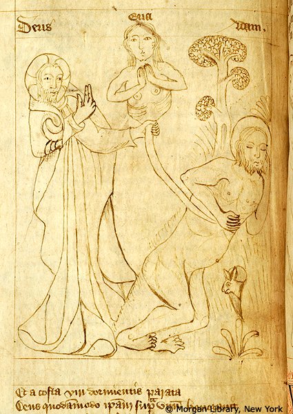 Thread: weird medieval depictions of God creating Eve. First up: Eve looking like a novelty balloon.(Morgan Library, MS m766, f. 022v)  #MedievalTwitter