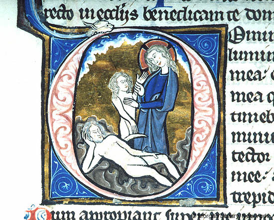This one makes it look like Rib-Eve just decided to come out on her own. (Morgan Library, MS m440, f. 033v)