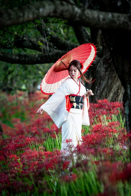 彼岸 高画質 のtwitterイラスト検索結果 古い順