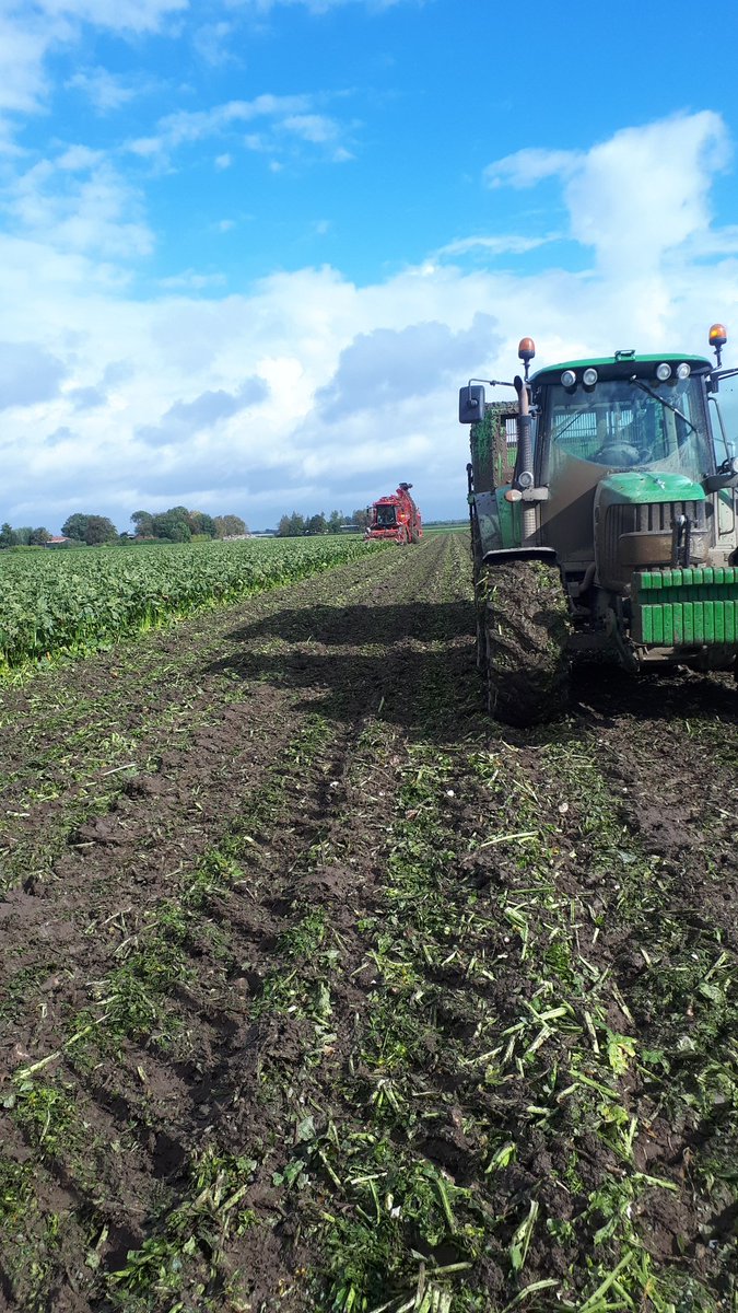 Bieten rooien gaat nog best mooi na 25mm van afgelopen nacht en ochtend. Laat het nu maar droog blijven. <a href="/Breurebv/">Breure</a>