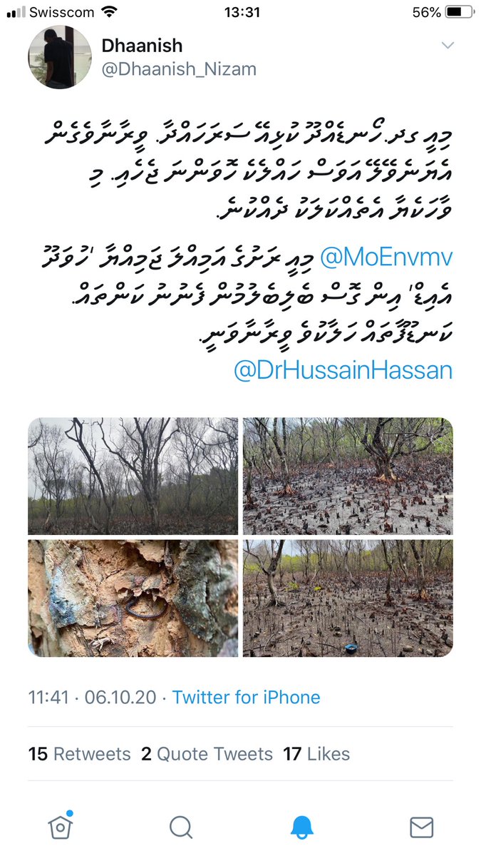 Many reports of dying mangroves lately. Wonder if authorities know what’s causing it???<a href="/edzyadam/">Adam Abdulla</a> <a href="/MoEnvmv/">Min. of Climate Change, Environment and Energy, MV</a> <a href="/ShafrazNaeem/">🇲🇻  Shaff  🇨🇭</a>