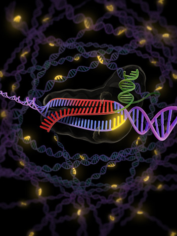 #science is awesome #CRISPR
news.berkeley.edu/2020/10/07/jen…