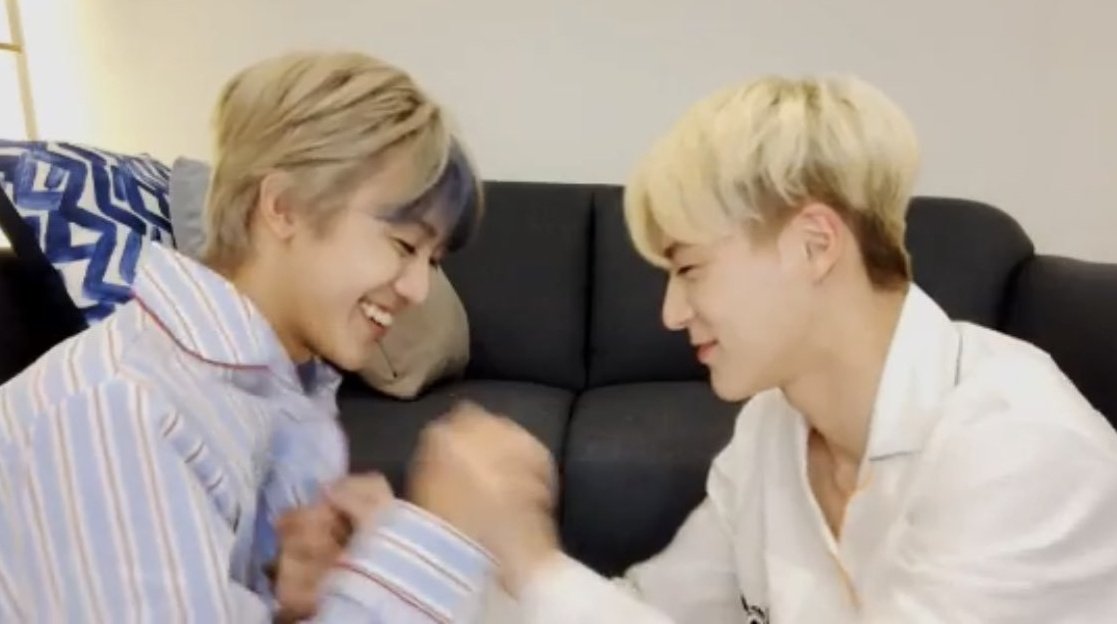 キラリ✨คุนนู๋น้องลูกเน้กโกะจัง🐈👑✨ tweet media