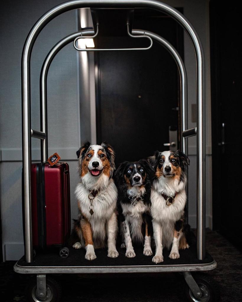 Imagine you and three of your best friends checking in at <a href="/motifseattle/">Motif Seattle</a> for a long weekend this fall. #DestinationHotels  (Photo by kobe.the.aussie)