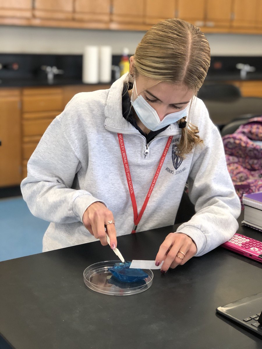 McAuleyMacs's tweet image. Our AP Biology students are designing shapes to represent cells with the fastest diffusion rate. #STEM #apbiology #mcauleylifetimeadvantage