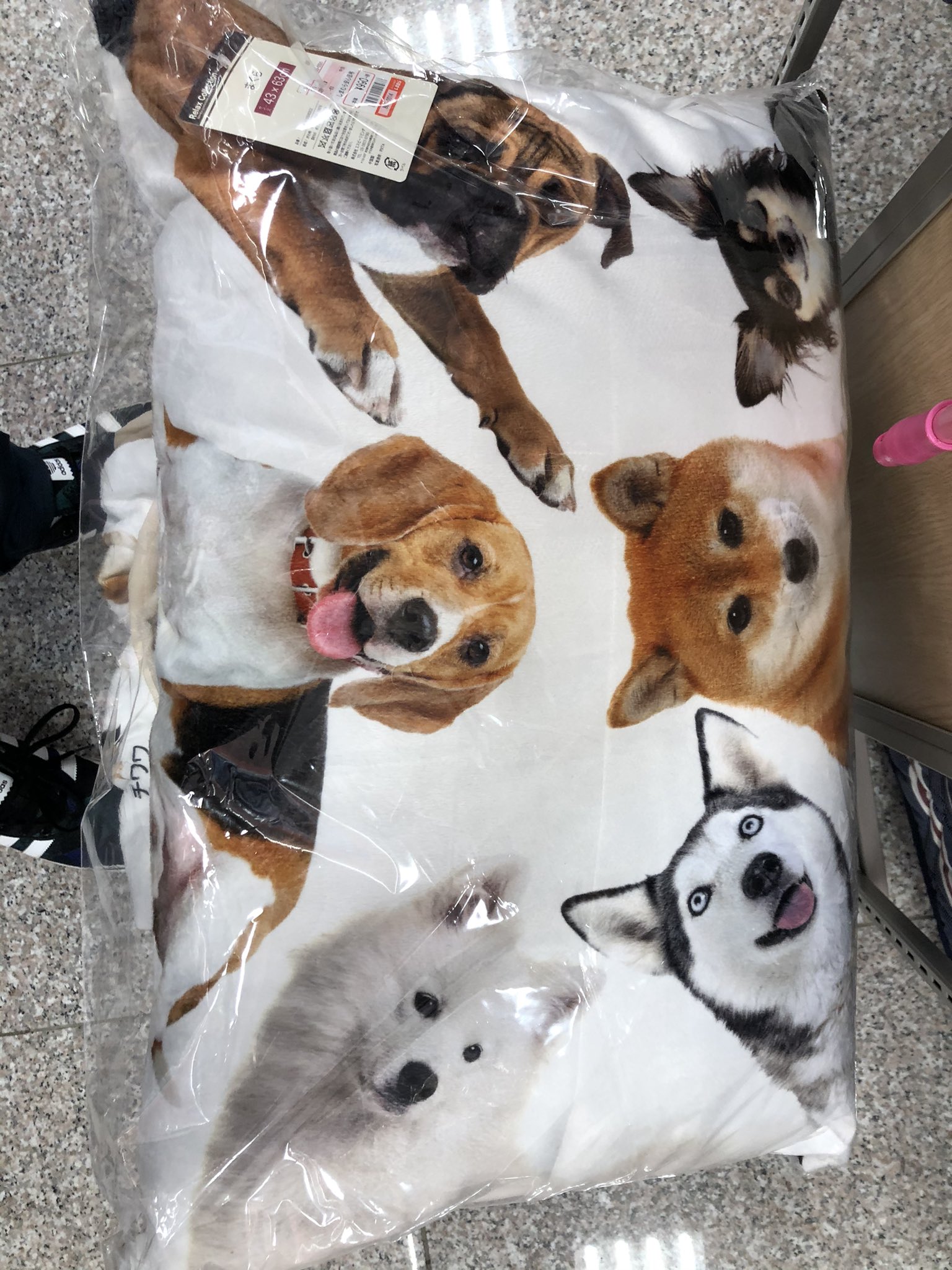 クロノスケ しまむらにて発見 妻が犬好きなので 買っていったらものすごく喜んでくれた 犬好きにはささるのか しまむら 犬 敷パッド まくら クロノスケ しまむらにて発見 妻が犬好きなので 買っていったらものすごく喜んでくれた 犬好きにはささるのか しまむら 犬 敷パッド まくら