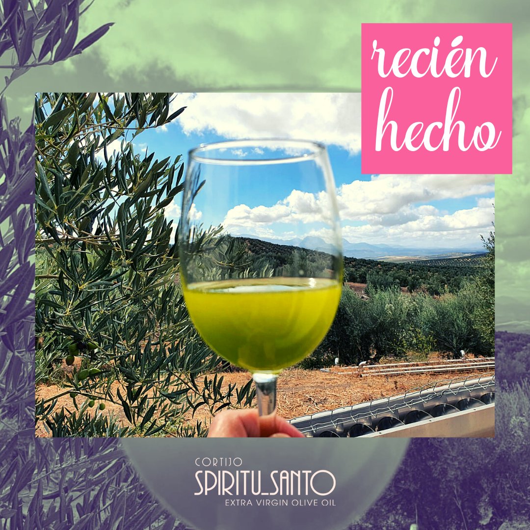 Recién Hecho 2020
Ya disponible para pedidos: cortijoespiritusanto.com/tiendaaceite/
❗❗ Edición limitada ❗❗