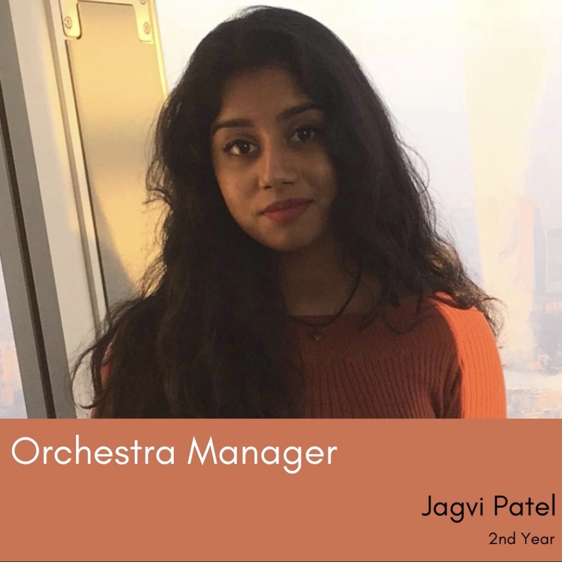 Now for the last of our ensembles, Meet Team Orchestra! 🎻🎺🎶