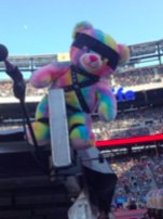 Qualche giorno dopo il peluche ricompare sul palco ma su di esso era attaccato del nastro adesivo nero. Il modo in cui lo scotch era attaccato ricordava un po& #39; il "bondage gear" e da qui il nome Rainbow Bondage Bear (RBB)