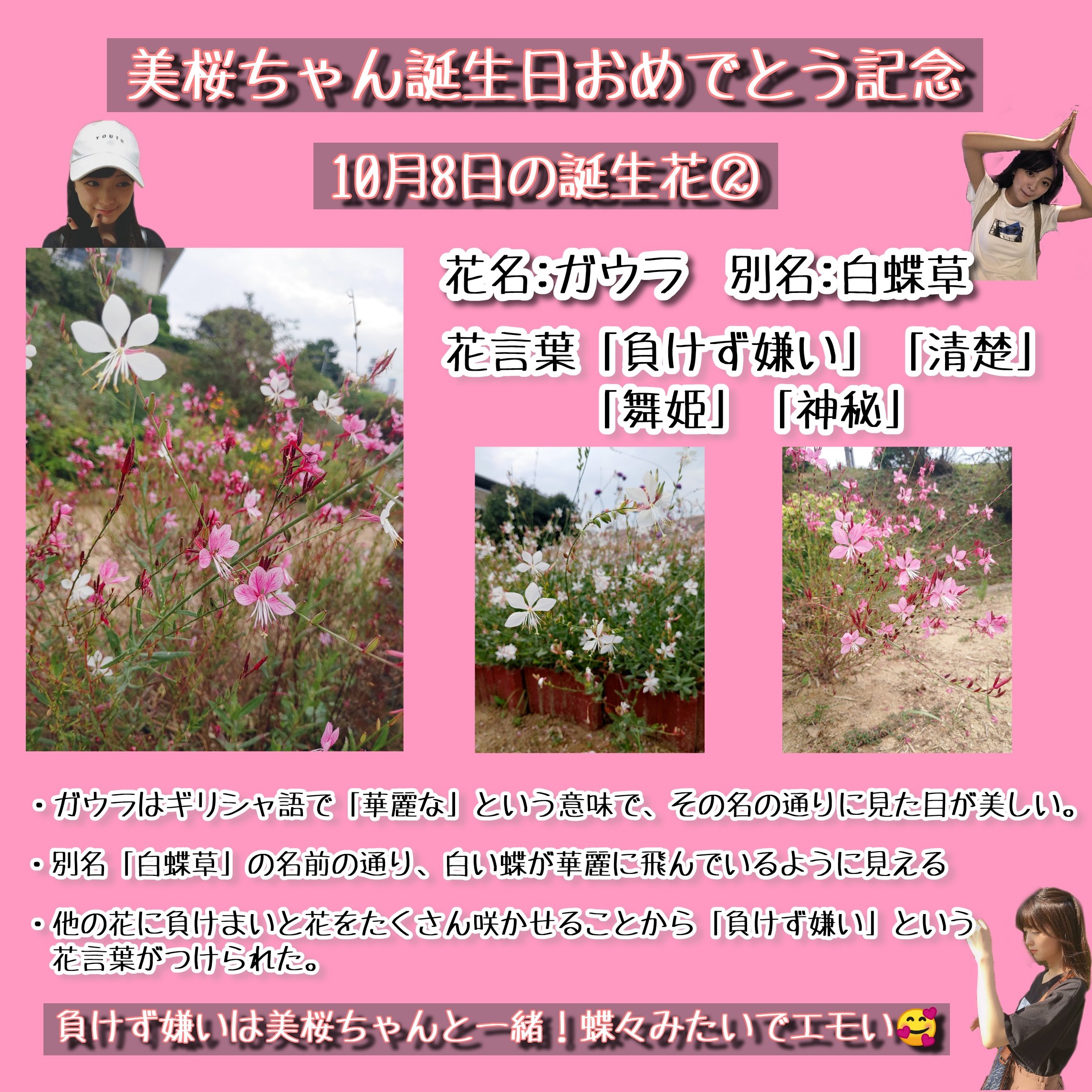 ミク太 工藤美桜誕生祭 誕生日企画の第3弾 今回紹介する10月8日の誕生花は ガウラ です この花は見た目と色がすごくエモい 特にピンク 写真で伝わるかわからないけど たくさんの蝶が飛んでいるみたいでした まだまだまだ続きます