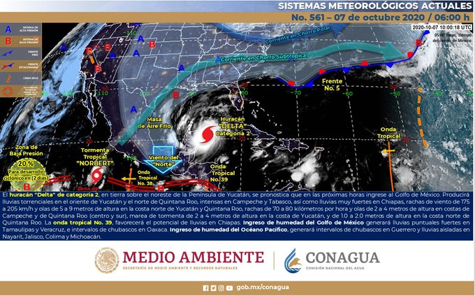 Ver imagen en Twitter