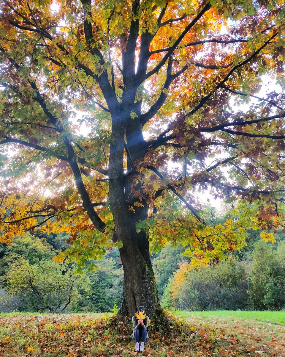 Croatia_hr's tweet photo. 📍 Varaždinske Toplice
📷 Tina_Cvjetna
Discover the colours of Croatia and bask in the softer yellow of the sun, the deeper blue of the sea, the evergreens of the beautiful inland, the changing colours of the leaves from yellow and orange to reds and browns... https://t.co/nEuYMrMn7V