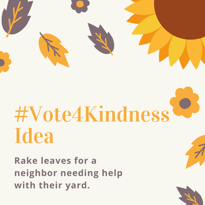#Vote4Kindness Idea: Rake leaves for a neighbor needing help with their yard.