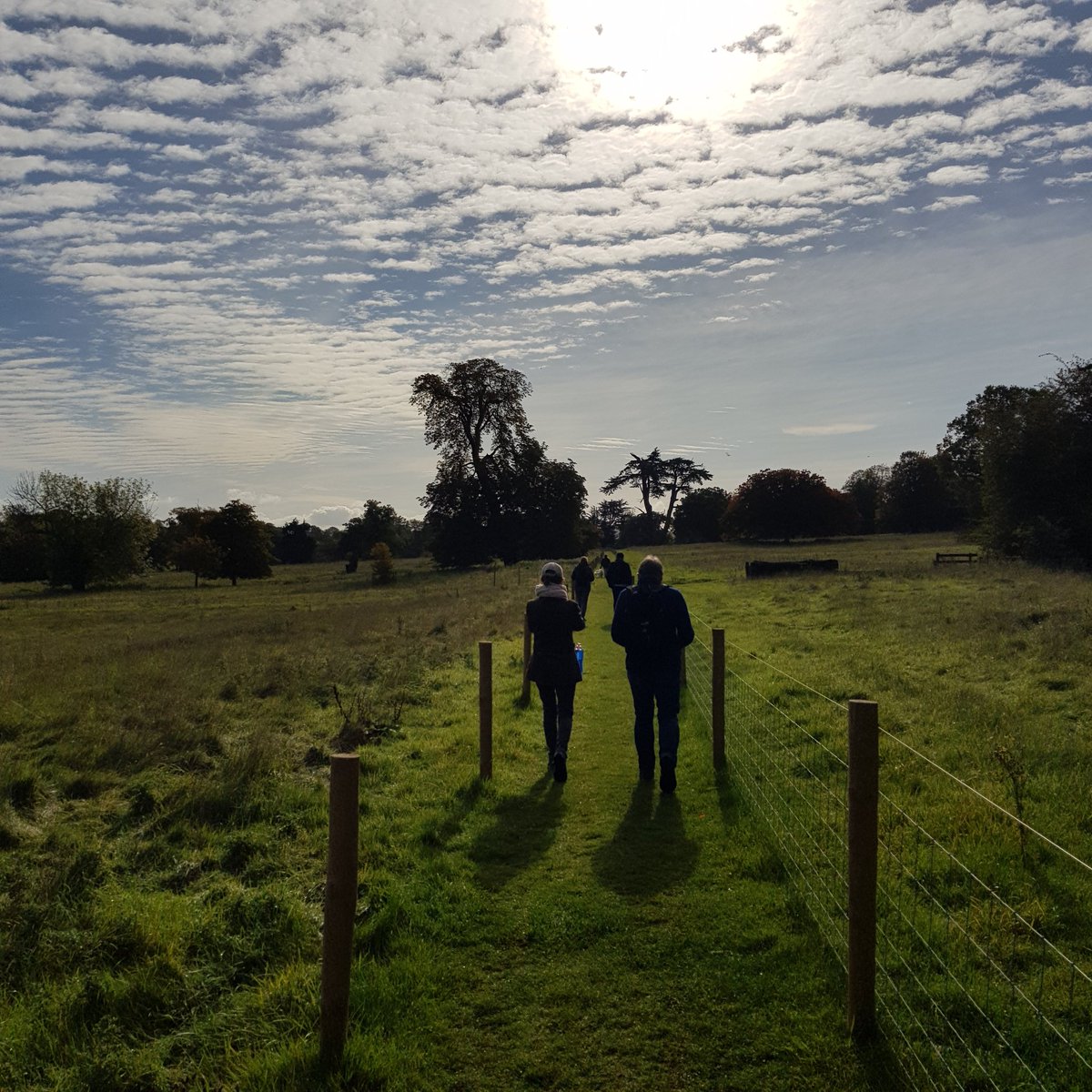 PositivelyMedia's tweet photo. What a beautiful morning! So much great conversation as we walked in the Autumn sunshine.
@NNetwalking @Jennings_ @BlooberryDesign @OX365 https://t.co/lsdKezZYOq