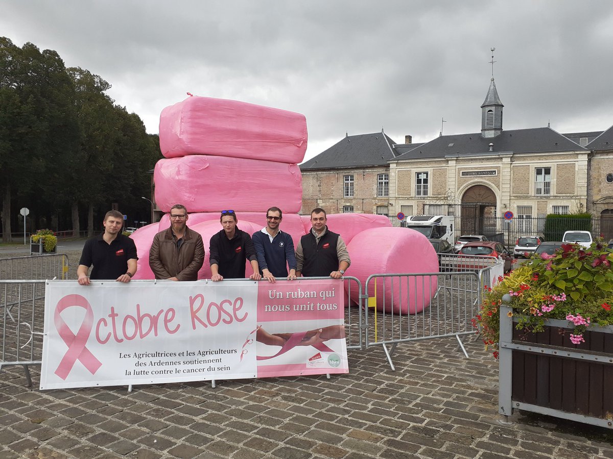 #OctobreRose 💗
Tous unis pour lutter contre le cancer du sein à <a href="/VILLEdeRETHEL/">Ville de RETHEL</a> !
<a href="/RubanRose/">Ruban Rose</a> <a href="/08Fdsea/">FDSEA 08</a>