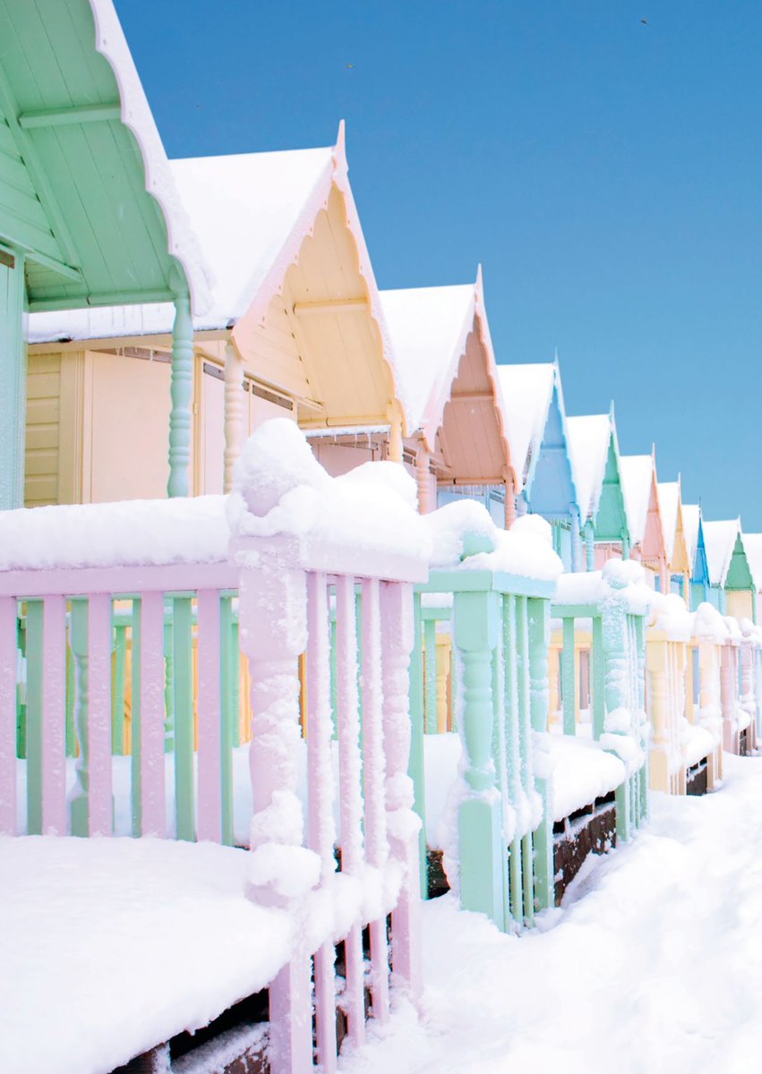 brainstrust tweet media